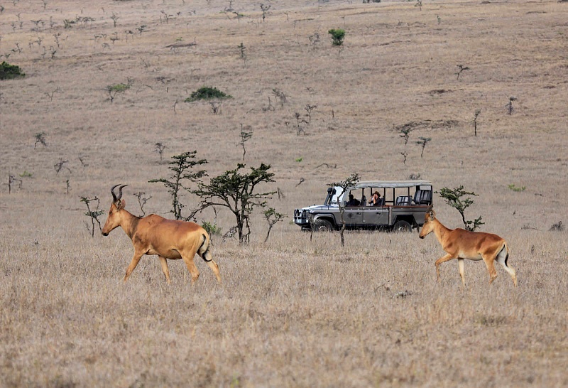 Sirai House, Kenya
